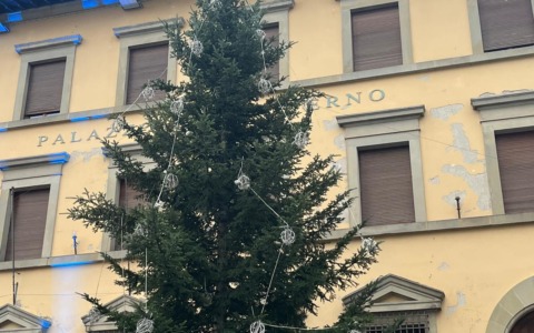 Montemignaio, la capitale degli alberi di Natale, si avvicina alla Festa