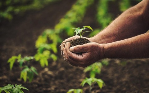 L45 Agri: un nuovo impulso per l’agricoltura aretina