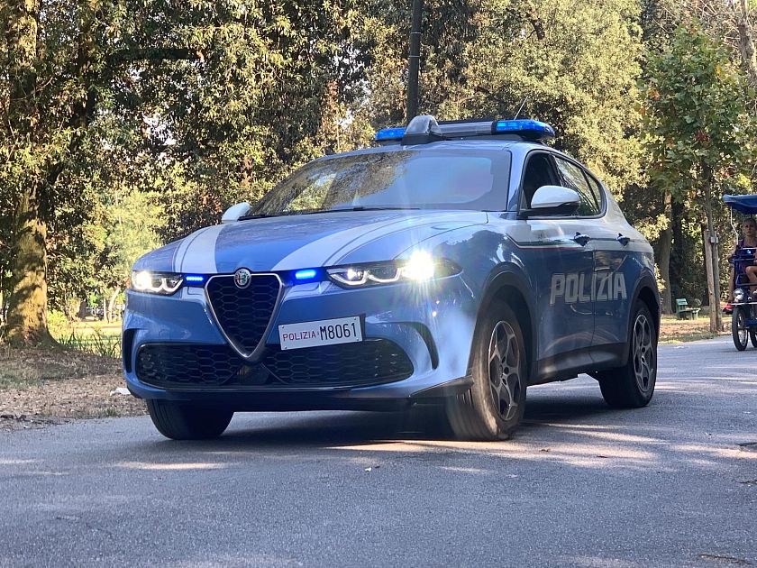 Investito e ucciso un cane ad Arezzo